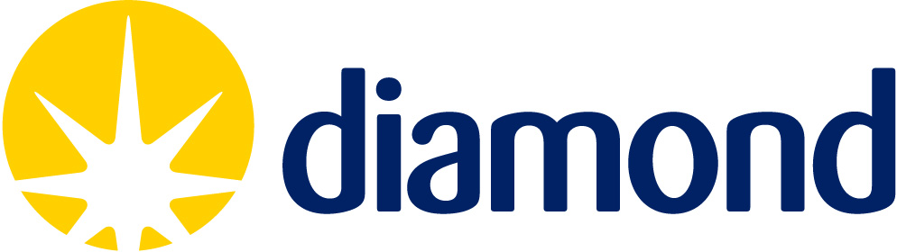 DLS Logo